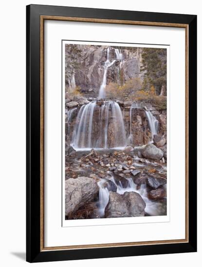 Tangle Falls I-Donald Paulson-Framed Giclee Print