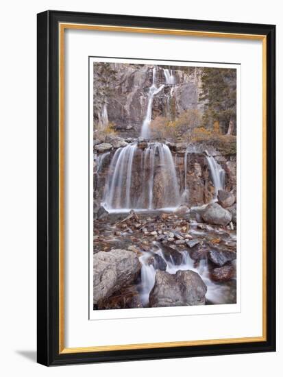 Tangle Falls I-Donald Paulson-Framed Giclee Print