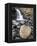 Tangle Falls, Jasper National Park, UNESCO World Heritage Site, Alberta, Canada, North America-James Hager-Framed Premier Image Canvas