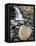 Tangle Falls, Jasper National Park, UNESCO World Heritage Site, Alberta, Canada, North America-James Hager-Framed Premier Image Canvas