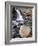 Tangle Falls, Jasper National Park, UNESCO World Heritage Site, Alberta, Canada, North America-James Hager-Framed Photographic Print