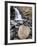 Tangle Falls, Jasper National Park, UNESCO World Heritage Site, Alberta, Canada, North America-James Hager-Framed Photographic Print