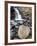 Tangle Falls, Jasper National Park, UNESCO World Heritage Site, Alberta, Canada, North America-James Hager-Framed Photographic Print