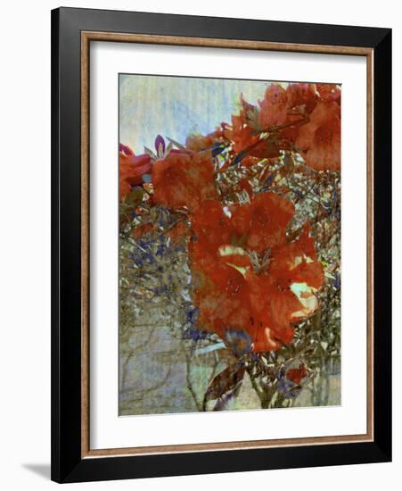 Tangled I-Danielle Harrington-Framed Photographic Print