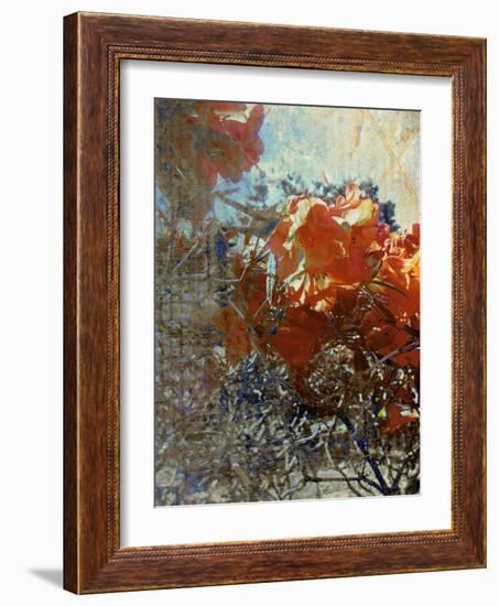 Tangled II-Danielle Harrington-Framed Photographic Print