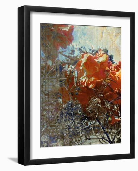 Tangled II-Danielle Harrington-Framed Photographic Print