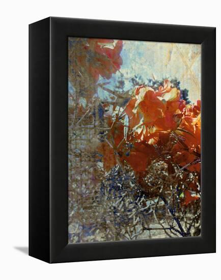 Tangled II-Danielle Harrington-Framed Premier Image Canvas