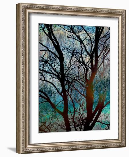 Tangled in Turquoise-Doug Chinnery-Framed Photographic Print