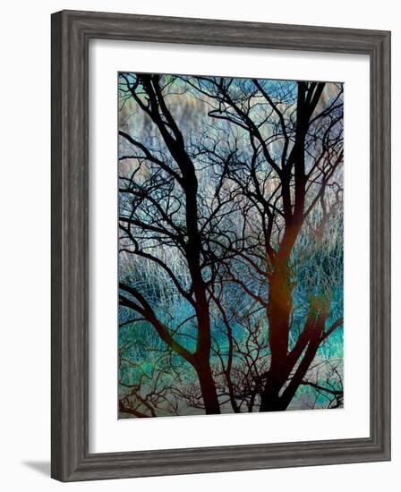 Tangled in Turquoise-Doug Chinnery-Framed Photographic Print