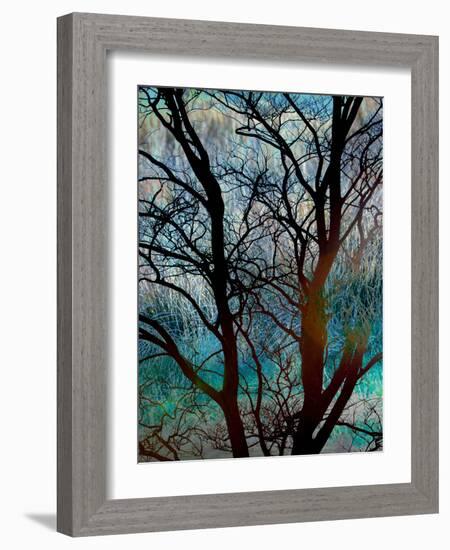 Tangled in Turquoise-Doug Chinnery-Framed Photographic Print