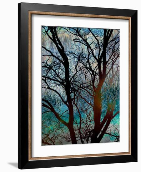 Tangled in Turquoise-Doug Chinnery-Framed Photographic Print