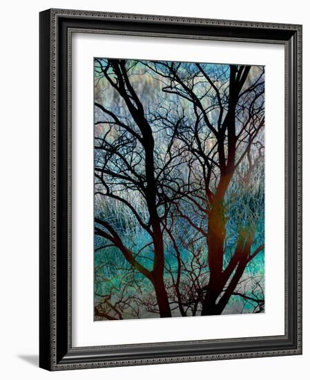 Tangled in Turquoise-Doug Chinnery-Framed Photographic Print