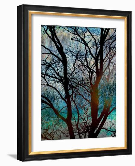 Tangled in Turquoise-Doug Chinnery-Framed Photographic Print