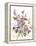 Tangled Pansies-Karin Johannesson-Framed Stretched Canvas