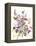 Tangled Pansies-Karin Johannesson-Framed Stretched Canvas