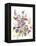 Tangled Pansies-Karin Johannesson-Framed Stretched Canvas