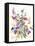Tangled Pansies-Karin Johannesson-Framed Stretched Canvas