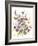 Tangled Pansies-Karin Johannesson-Framed Art Print