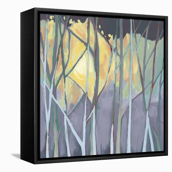 Tangled Twilight I-Grace Popp-Framed Stretched Canvas