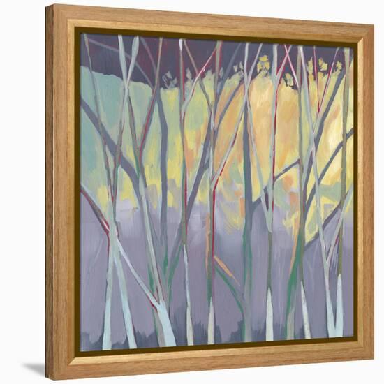 Tangled Twilight II-Grace Popp-Framed Stretched Canvas