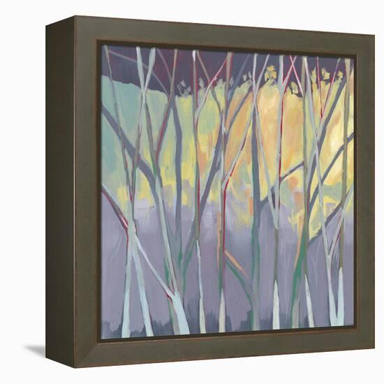 Tangled Twilight II-Grace Popp-Framed Stretched Canvas