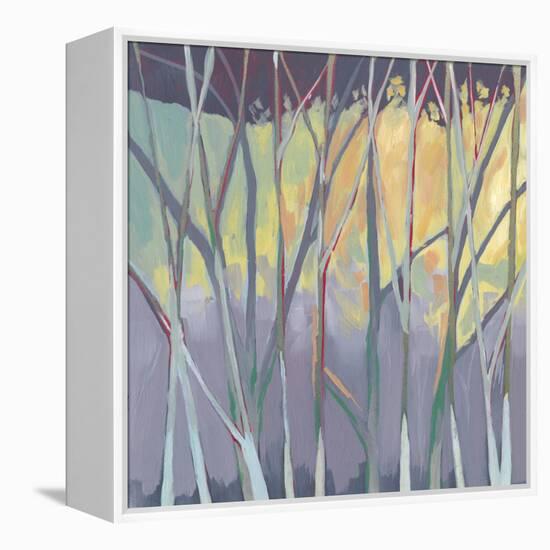 Tangled Twilight II-Grace Popp-Framed Stretched Canvas