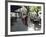 Tango Dancers Dancing for Tips at a Sidewalk Cafe-null-Framed Photographic Print