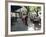 Tango Dancers Dancing for Tips at a Sidewalk Cafe-null-Framed Photographic Print