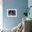 Tango Dancers' Feet, San Miguel De Allende, Mexico-Nancy Rotenberg-Framed Photographic Print displayed on a wall