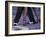 Tango Dancers' Feet, San Miguel De Allende, Mexico-Nancy Rotenberg-Framed Photographic Print