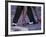 Tango Dancers' Feet, San Miguel De Allende, Mexico-Nancy Rotenberg-Framed Photographic Print