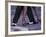 Tango Dancers' Feet, San Miguel De Allende, Mexico-Nancy Rotenberg-Framed Photographic Print