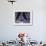 Tango Dancers' Feet, San Miguel De Allende, Mexico-Nancy Rotenberg-Framed Photographic Print displayed on a wall