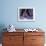 Tango Dancers' Feet, San Miguel De Allende, Mexico-Nancy Rotenberg-Framed Photographic Print displayed on a wall