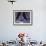 Tango Dancers' Feet, San Miguel De Allende, Mexico-Nancy Rotenberg-Framed Photographic Print displayed on a wall