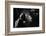 Tango-Sergey Smirnov-Framed Photographic Print