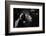 Tango-Sergey Smirnov-Framed Photographic Print