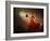 Tango-Sergey Smirnov-Framed Photographic Print