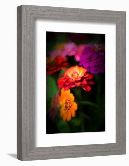 Tangy Sweetness-Philippe Sainte-Laudy-Framed Photographic Print