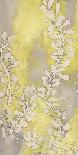 Floral Rhumba II-Tania Bello-Giclee Print