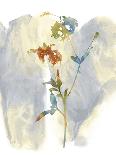 Wildflower Duet-Tania Bello-Giclee Print