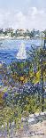 Le Petit Port a Antibes-Tania Forgione-Giclee Print