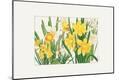Premium Giclee Print