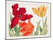 Giclee Print