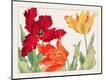 Giclee Print