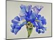Premium Giclee Print