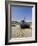 Tank Commemorating D-Day Rehearsals, Slapton Sands, Slapton Ley, South Hams, Devon, England-David Hughes-Framed Photographic Print