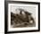 Tank in Action-English Photographer-Framed Photographic Print