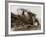 Tank in Action-English Photographer-Framed Photographic Print