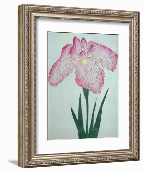 Tanka No-Koe Book of a Pink Iris-Stapleton Collection-Framed Giclee Print